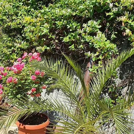 Guest house Marianas